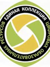 Единая коллекция цифровых образовательных ресурсов